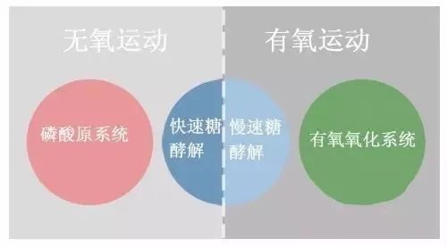 骑车运动是快还是慢_骑车运动是有氧运动吗_骑车是运动吗