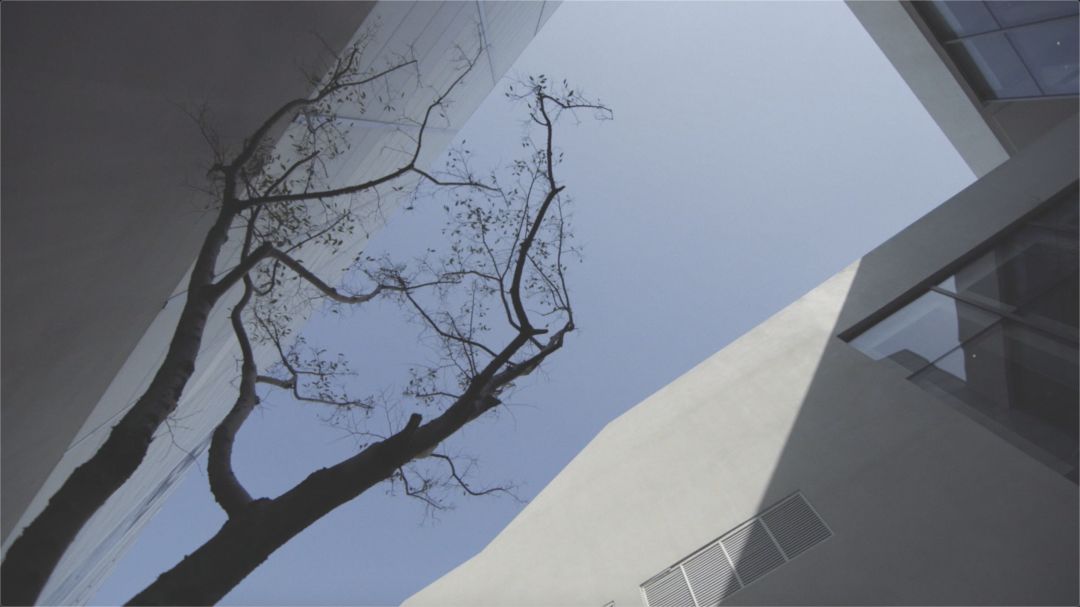 上海艺术学院地址_上海艺术学院的生活方式_上海艺术学院教授