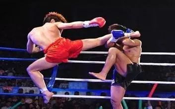 柳海龙的散打视频_柳海龙打日本柔道冠军_柳海龙拳击