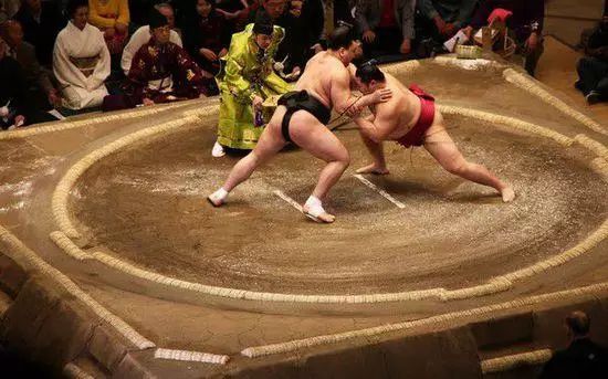 柳海龙的散打视频_柳海龙拳击_柳海龙打日本柔道冠军