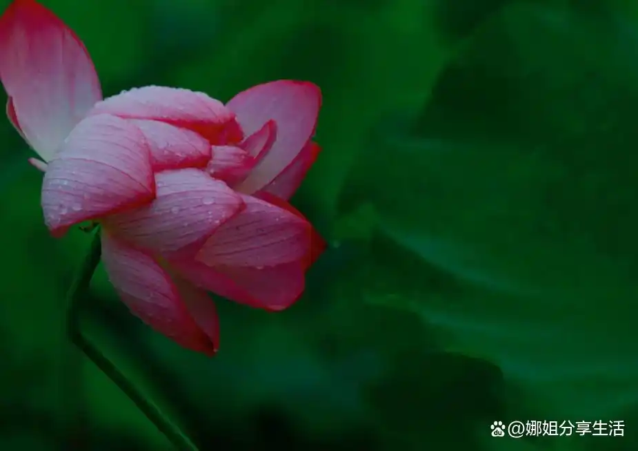 难忘的事暑假趣事作文怎么写_难忘的暑假生活趣事_难忘暑假趣事生活中的事情