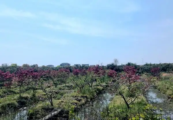 苏州loop健身_苏州明星健身房_苏州健身吧