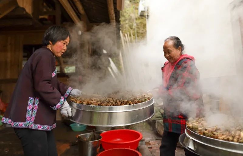 怀化生活网的微信公众号_在怀化做小生意做什么好_怀化生活小技巧