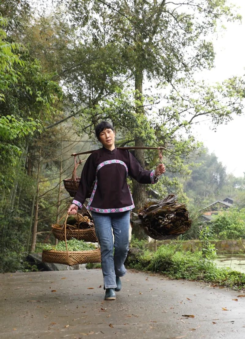 怀化生活小技巧_在怀化做小生意做什么好_怀化生活网的微信公众号