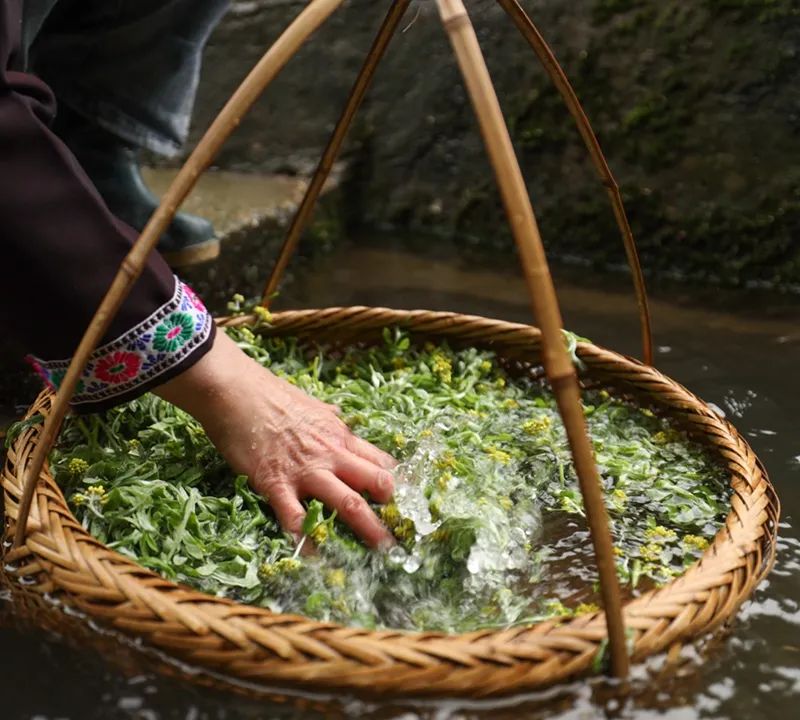 怀化生活小技巧_在怀化做小生意做什么好_怀化生活网的微信公众号