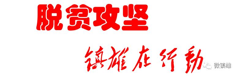 营养餐作文_营养餐作文500字初三_关于营养餐作文600字