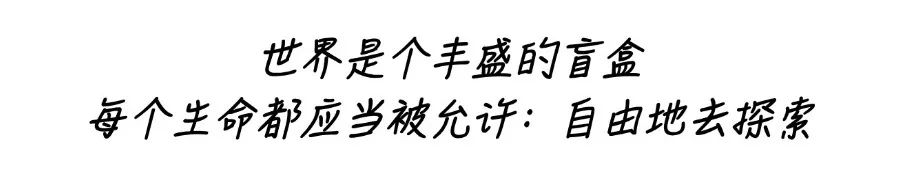 营养餐作文_营养餐作文500字初三_营养餐的作文