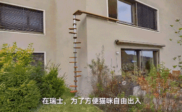营养餐作文500字初三_营养餐作文_营养餐的作文
