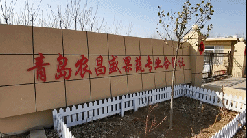 体育场健身器材_器材体育健身图片_器材体育健身有哪些