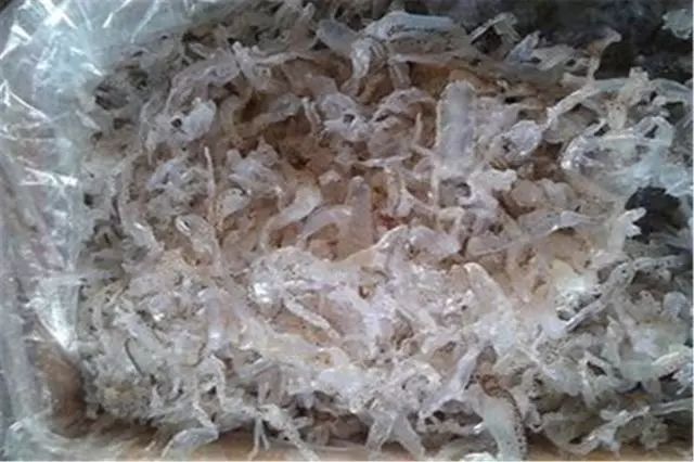 电饭煲生活小窍门_电饭煲的方法_电饭煲煮饭小技巧